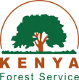 KFS_Logo