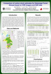 ForestSAT; 2014 Riva del Garda (Italy)