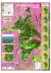 BIOTA-display board Kakamega forest 2005